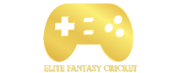 Fantasy Sport logo